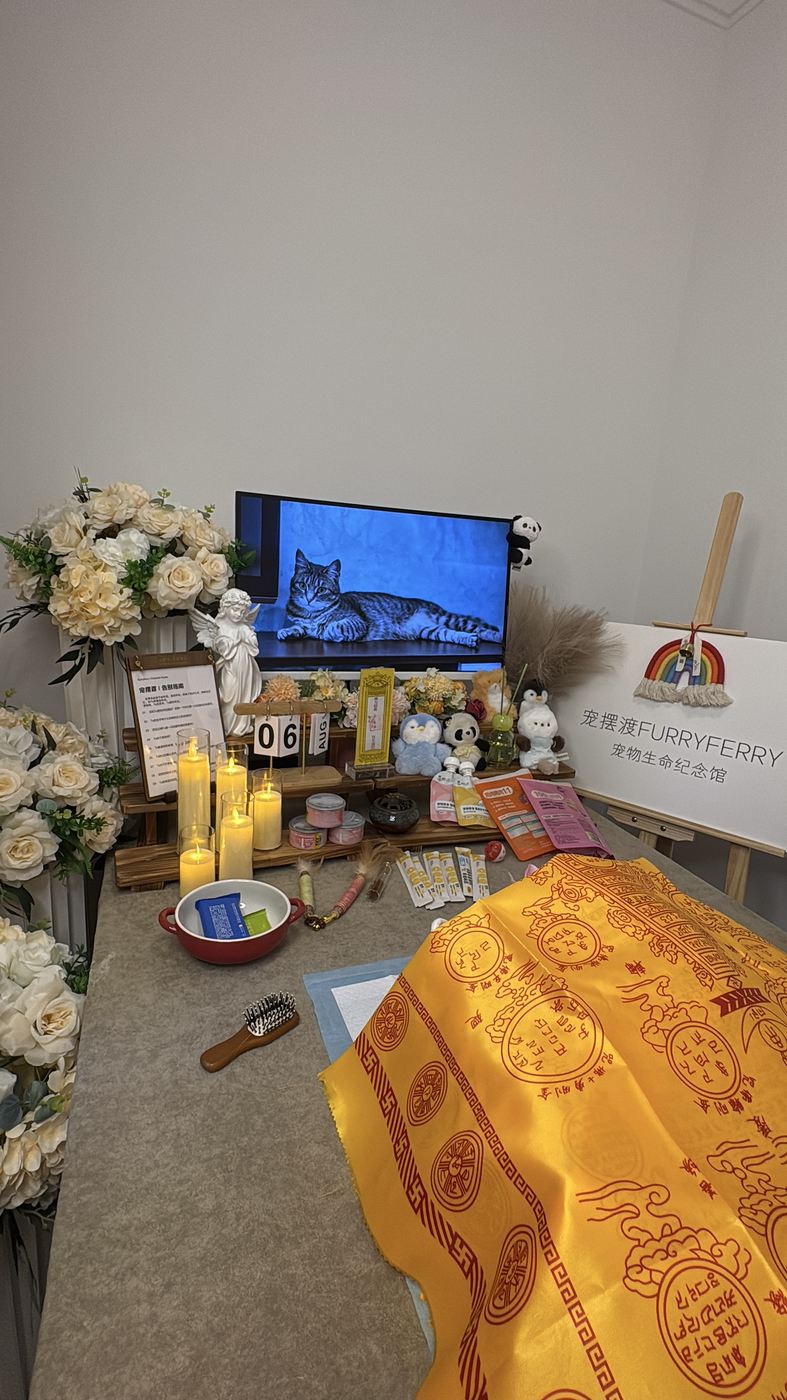 为宠物准备的纪念空间